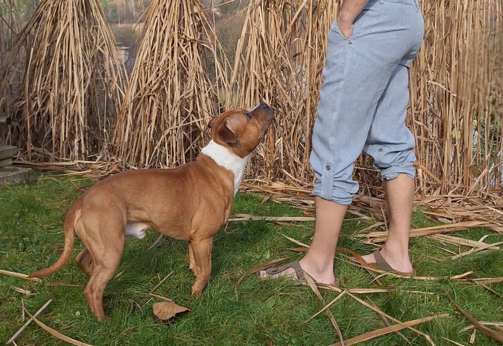 Lněné kalhoty UNI - modro-bílý proužek