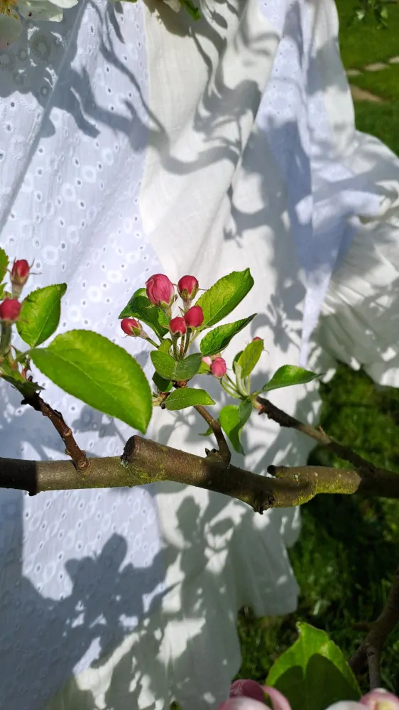 Šaty (NEJEN) SVATEBNÍ